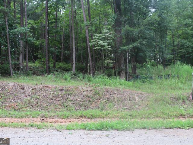 Land for sale in Lavonia, Georgia