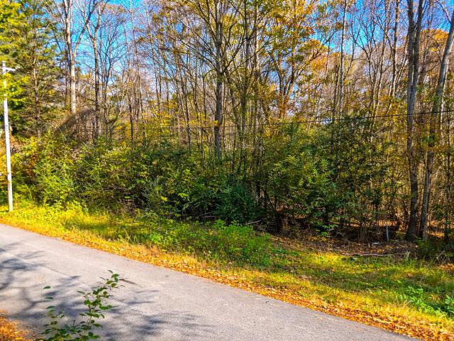 Land for sale in Roxobel, North Carolina
