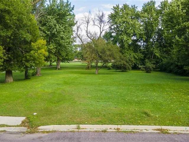 Land for sale in Mapleton, Blue Earth County