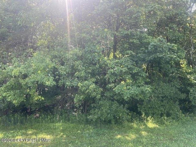 Land for sale in Blakeslee, Pennsylvania
