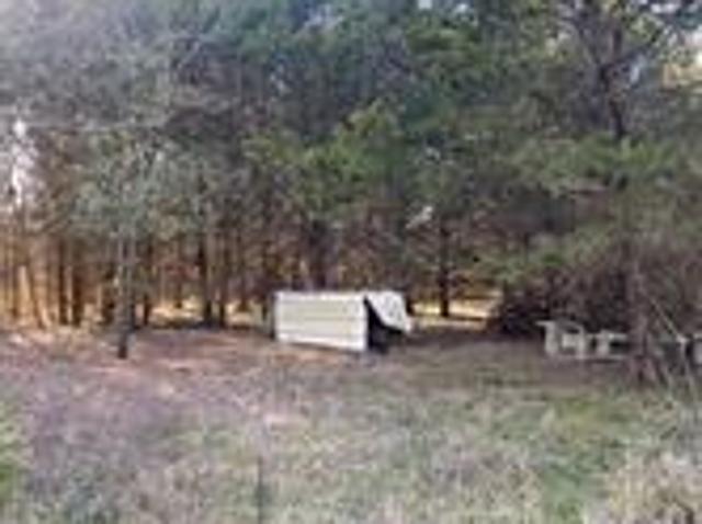 Land for sale in Wills Point, Texas