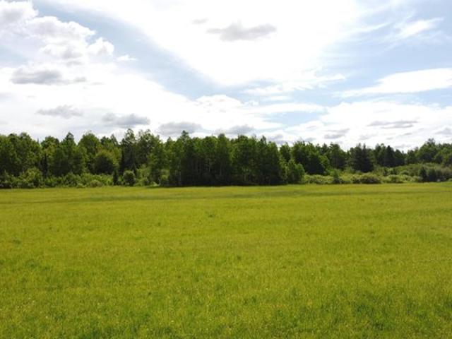 Land for sale in Maple, Wisconsin