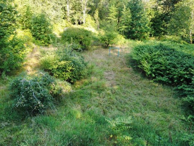 Land for sale in Duvall, Washington