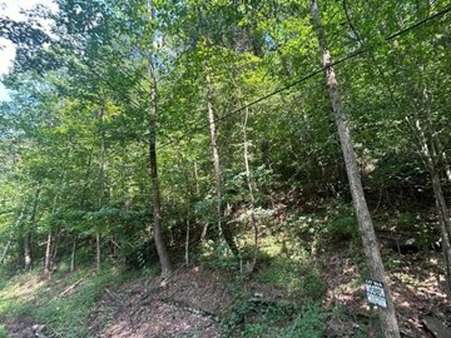 Land for sale in Busy, Kentucky
