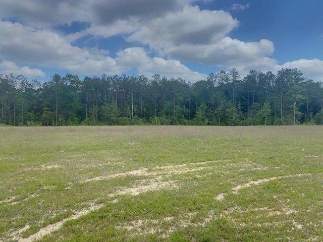 Land for sale in Hillister, Texas