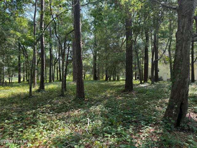 Land for sale in Bolivia, Brunswick County