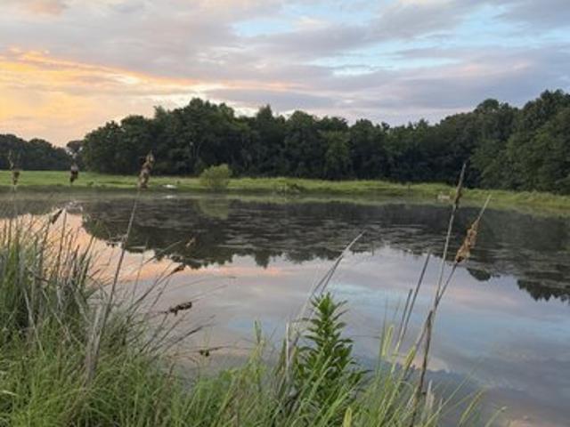 House for sale in Hopkinsville, Kentucky