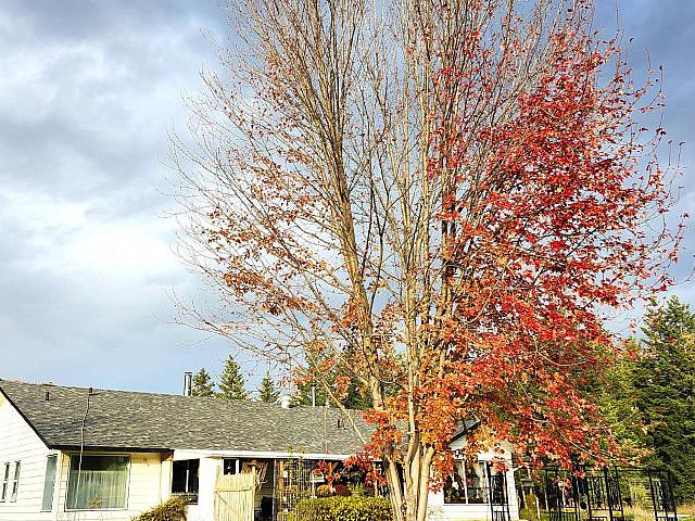 House for sale in British Columbia