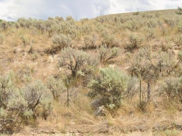 Land for sale in Power, Idaho