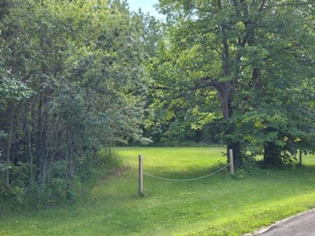 Land for sale in Federal Dam, Minnesota