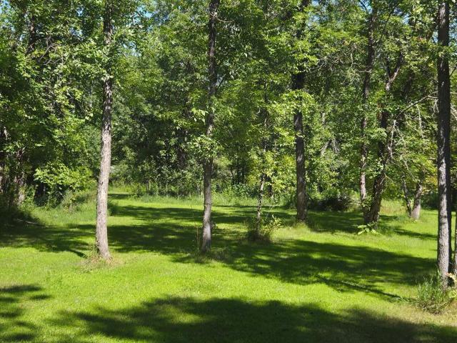 Land for sale in Federal Dam, Minnesota