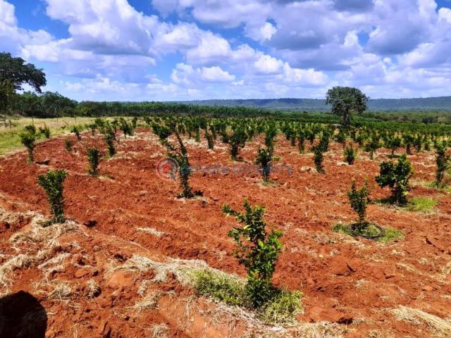 Property for sale in Makueni