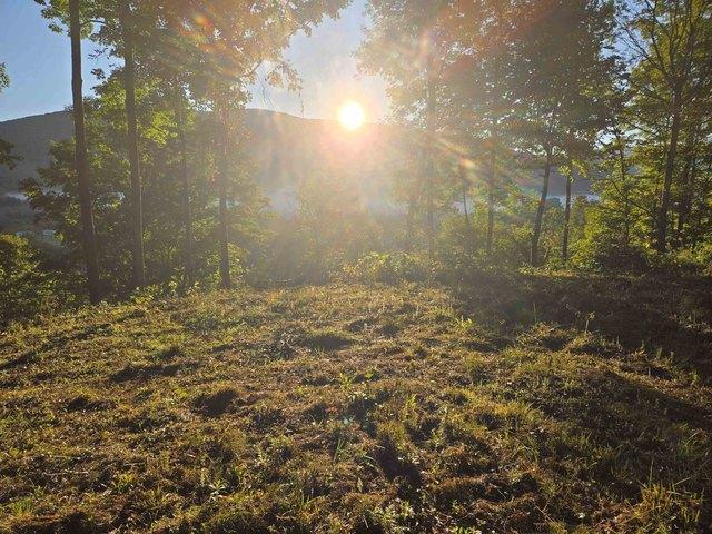 Land for sale in Danby, Vermont