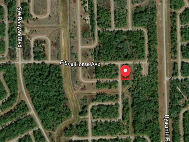 Land for sale in Labelle, Florida