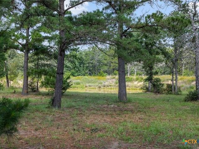 Land for sale in Rosanky, Texas