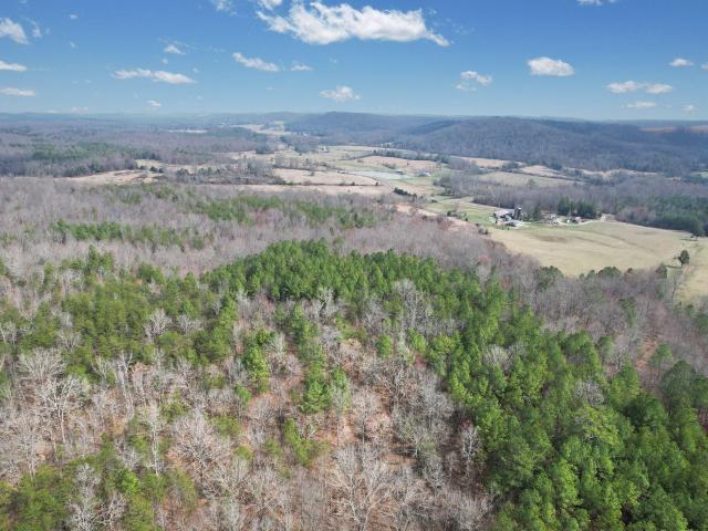 Land for sale in Tennessee
