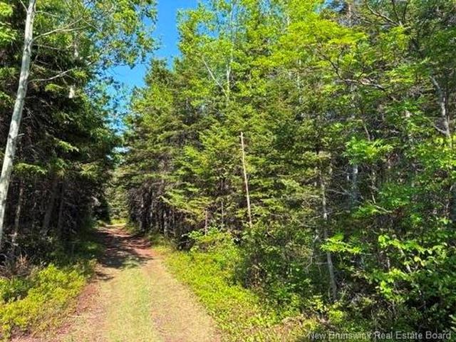 Land for sale in Lameque, New Brunswick