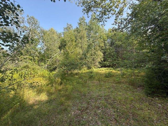 Land for sale in Milo, Maine