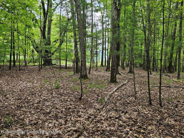 Land for sale in Acra, New York