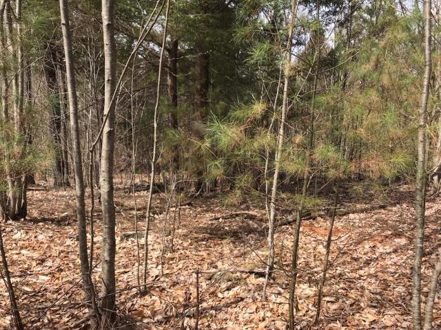 Land for sale in Milton, Strafford County