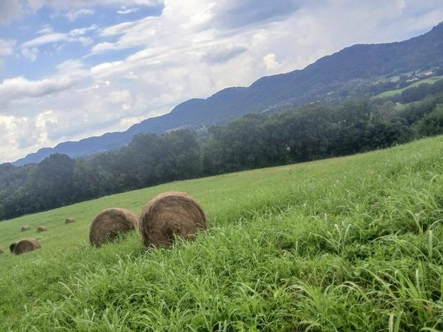 Land for sale in Tennessee