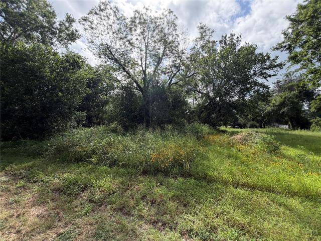Land for sale in Smithville, Texas
