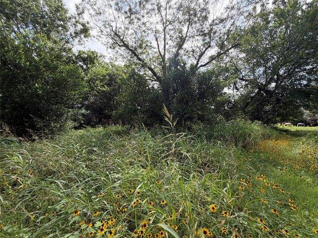 Land for sale in Smithville, Texas