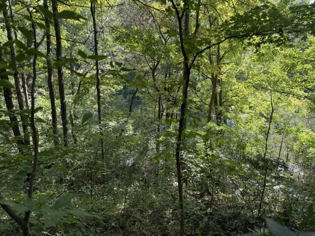 Land for sale in Tennessee