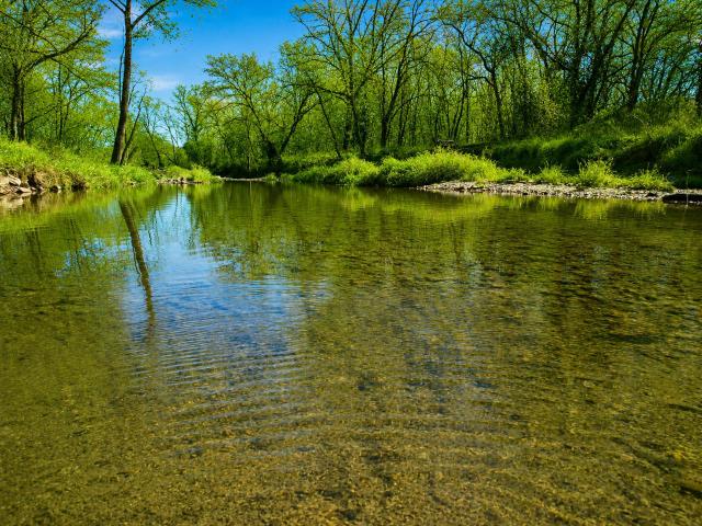 House for sale in Birch Tree, Missouri