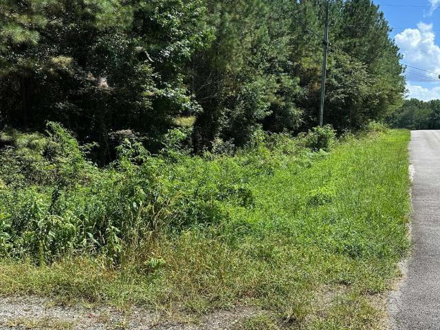 Land for sale in Haralson, Georgia