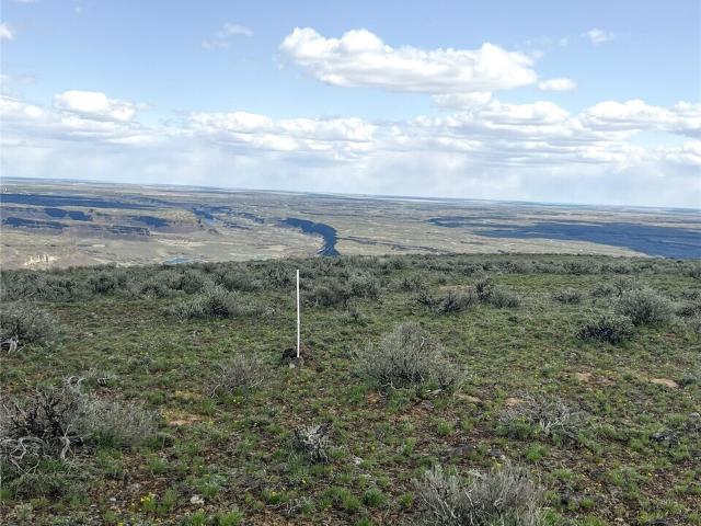 Land for sale in Coulee City, Washington