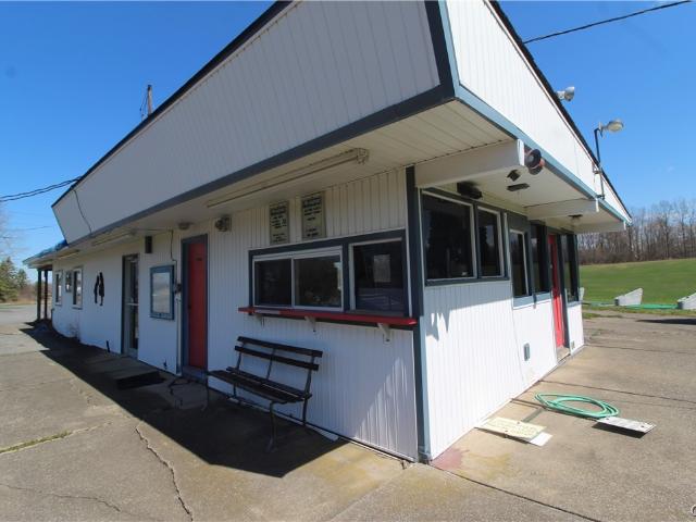 Land for sale in Cayuga, New York