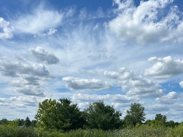 House for sale in Beecher, Illinois