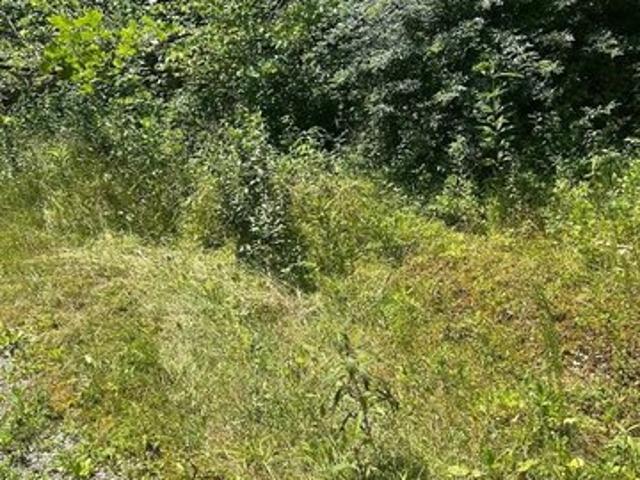 Land for sale in Busy, Kentucky
