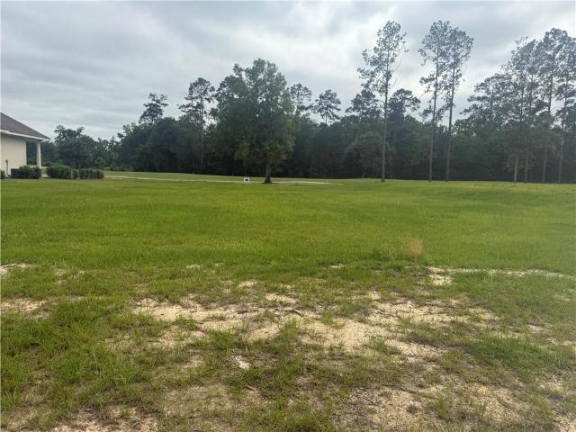 Land for sale in Springfield, Louisiana