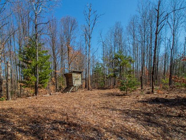 Land for sale in White Cloud, Michigan
