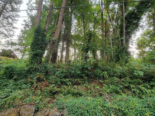 Land for sale in Canemah, Oregon City