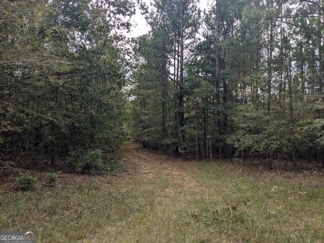 Land for sale in Carlton, Georgia