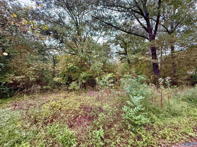 Land for sale in Gadsden, Etowah County