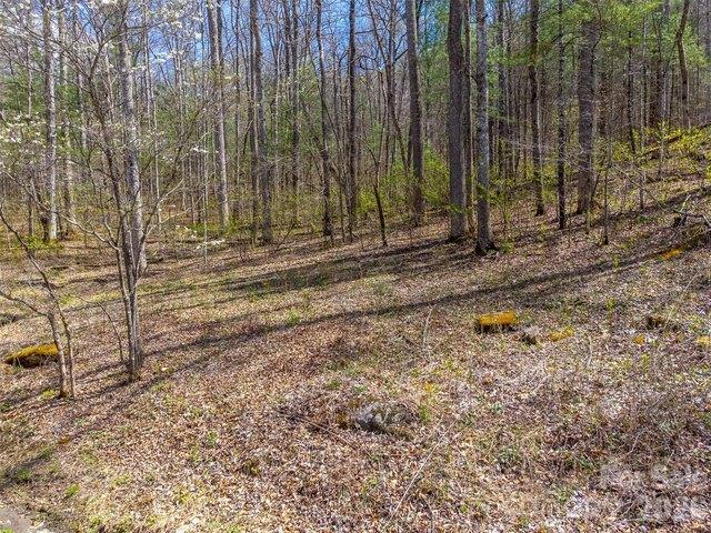 Land for sale in Tuckasegee, North Carolina