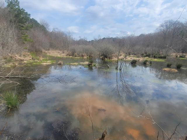 Land for sale in Spalding, Georgia