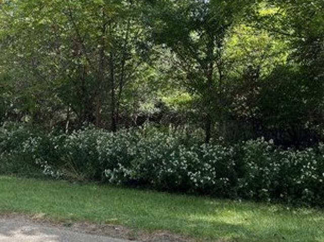 Land for sale in Dixon, Illinois