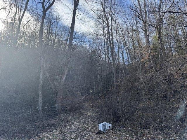 Land for sale in West Virginia
