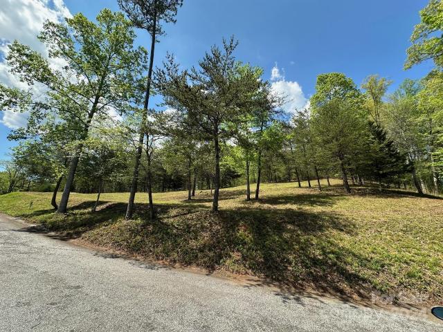 Land for sale in Rutherford, North Carolina