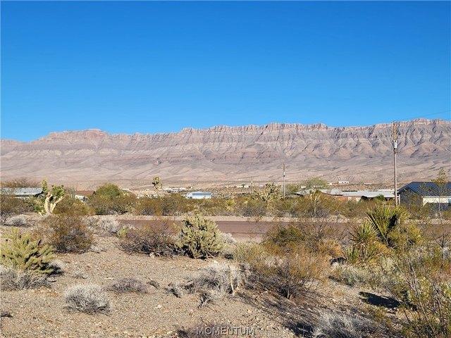 Land for sale in Meadview, Arizona