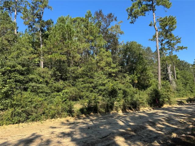 Land for sale in Jasper, Texas