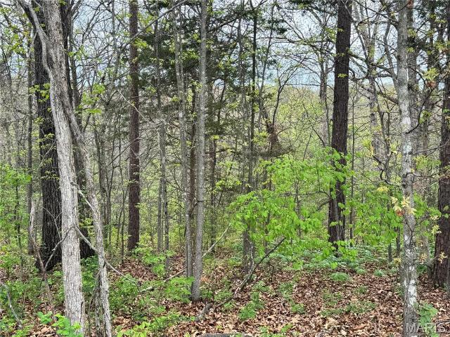 Land for sale in Wright City, Missouri
