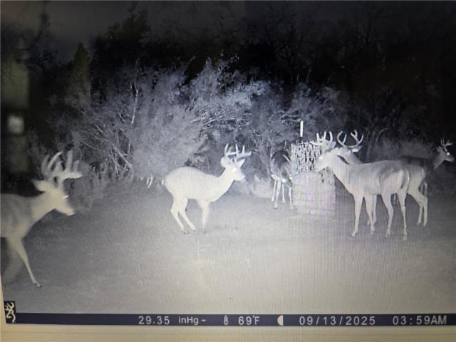 Farm for sale in San Diego, Texas