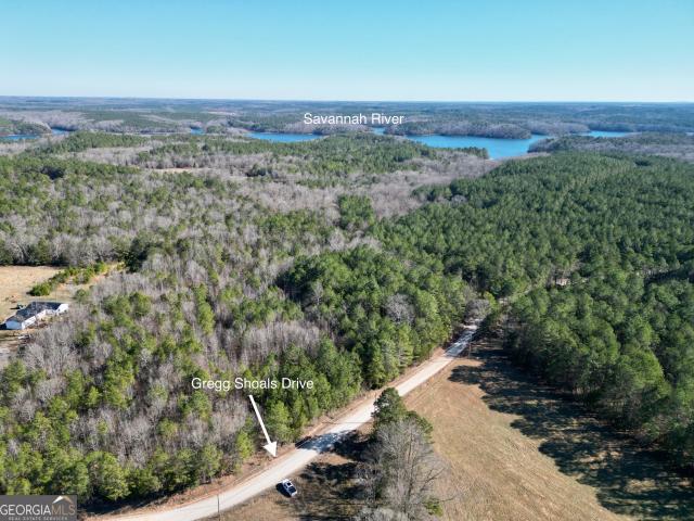 Land for sale in Elbert, Georgia