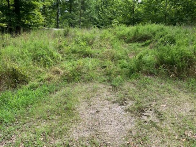 Land for sale in Tennessee